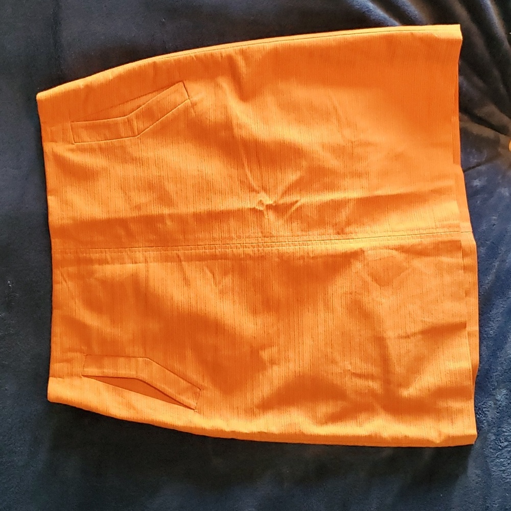 Ann Taylor Factory Skirt